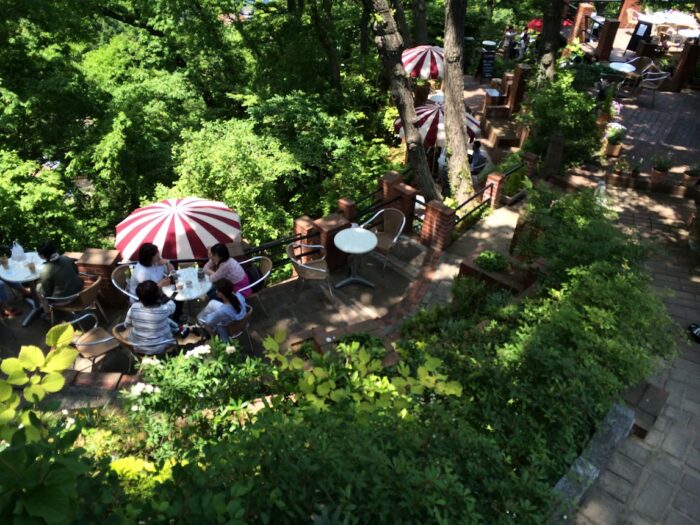 カフェテラス”樹ガーデン”が今月末で閉店。思い出の鎌倉日帰り旅を振り返り